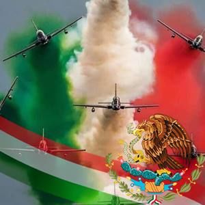 Meet your Posher, Susana